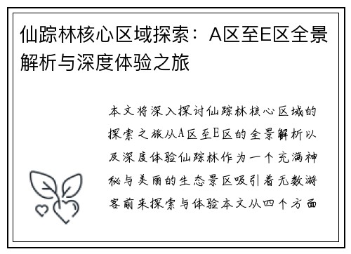 仙踪林核心区域探索：A区至E区全景解析与深度体验之旅